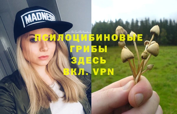 прущие крисы Аркадак