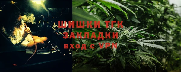 ешки Арсеньев