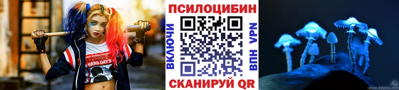 Галлюциногенные грибы GOLDEN TEACHER  что такое наркотик  mega маркетплейс  Мыски 